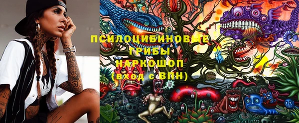 мет Аркадак