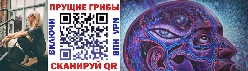 где купить наркоту Кизел Псилоцибиновые грибы ЛСД